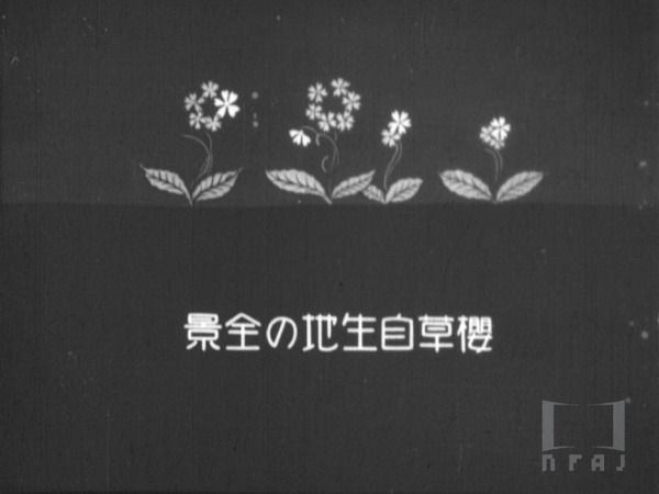 内務省指定天然紀念物 土合村櫻草自生地
