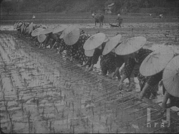 協力の惠み