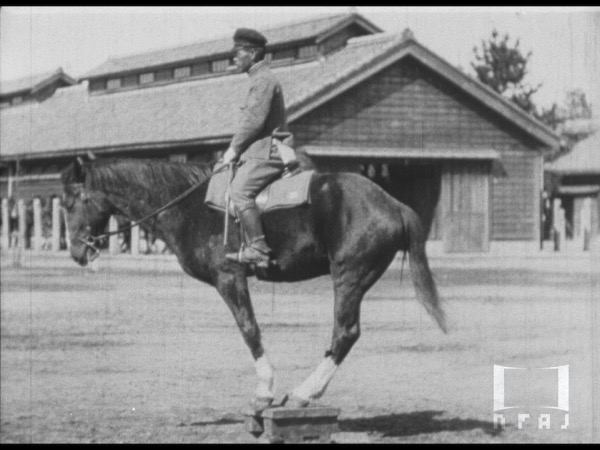 馬の馴致